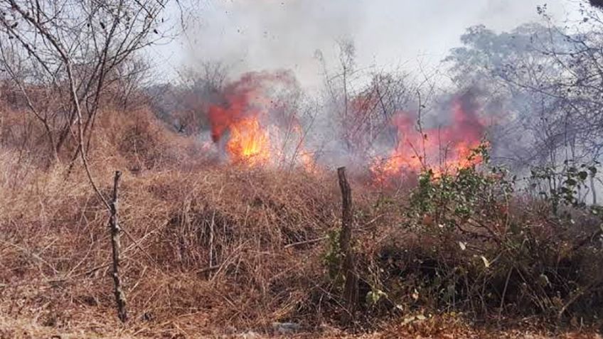 Incendios ponen en riesgo a los vecinos de la colonia Independencia en Guaymas