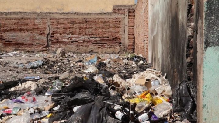 Ciudad Obregón: Canaco respalda iniciativa del Ayuntamiento de multar a "cochinos"