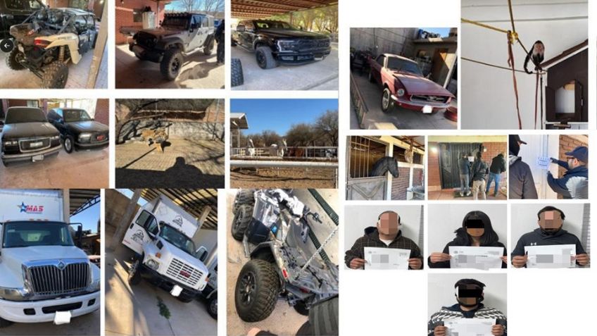 Fuerte decomiso en Nogales: Hallan tigres, monos, venados, caballos, autos, drogas y armas