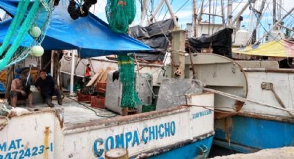 Pescadores de Guaymas dejan el mar por bajos números; sobreviven en otras actividades