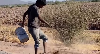 Ciudadanos tapan baches con tierra en la carretera de Bacobampo