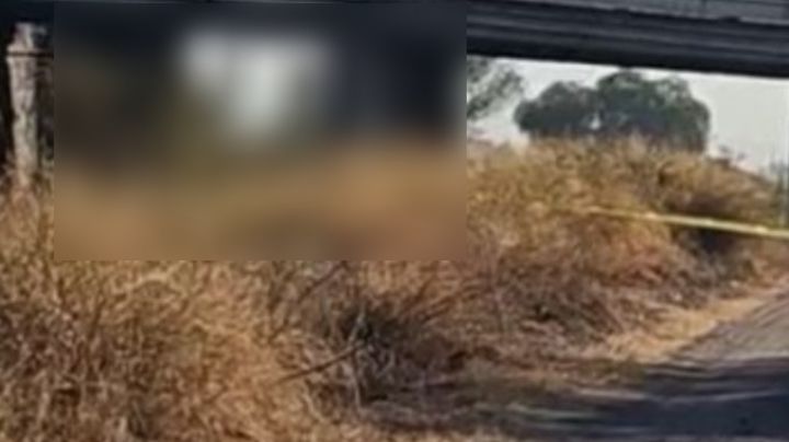 Hallan tres cuerpos colgados en puente de Guanajuato; las víctimas no han sido identificadas