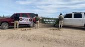Foto ilustrativa de la nota titulada Aseguran tres vehículos y municiones al norte de Sonora; criminales lograron escapar