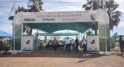 Ciudad Obregón: Celebración del Día del Agricultor no se realizará este año