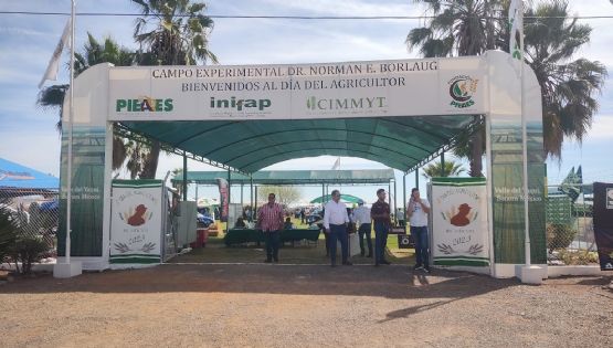 Ciudad Obregón: Celebración del Día del Agricultor no se realizará este año