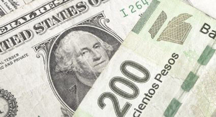 Precio del Dólar en Pesos Mexicanos HOY sábado 25 de enero del 2025: Tipo de cambio