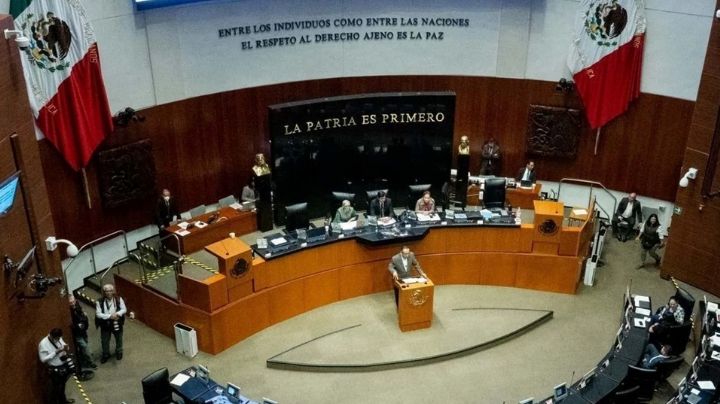 TEPJF aprueba proyecto de Aralí Soto Fregoso; Senado de la República sustituirá al CEPJ