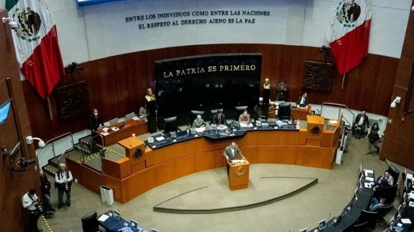 TEPJF aprueba proyecto de Aralí Soto Fregoso; Senado de la República sustituirá al CEPJ