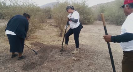 Guerreras Buscadoras de Cajeme hallan cráneo humano y restos óseos en predio cercano a Vicam