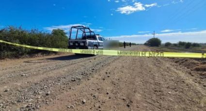 Envuelto en una cobija, hallan a sujeto asesinado en un camino de terracería de Culiacán