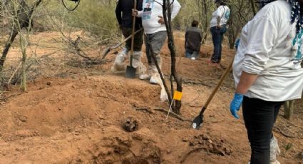 Cementerio clandestino en Sonora: Van 35 fosas en la Costa de Hermosillo, revelan buscadoras