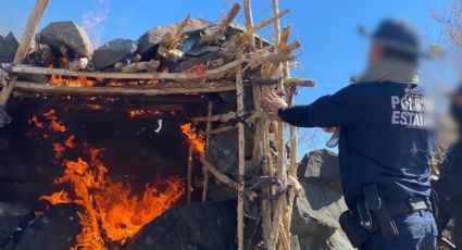 Destruyen campamentos de grupos delictivos en la frontera de Sonora con EU