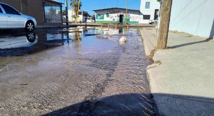 Ciudad Obregón: Vecinos de la colonia Miravalle urgen reparación de fuga de agua