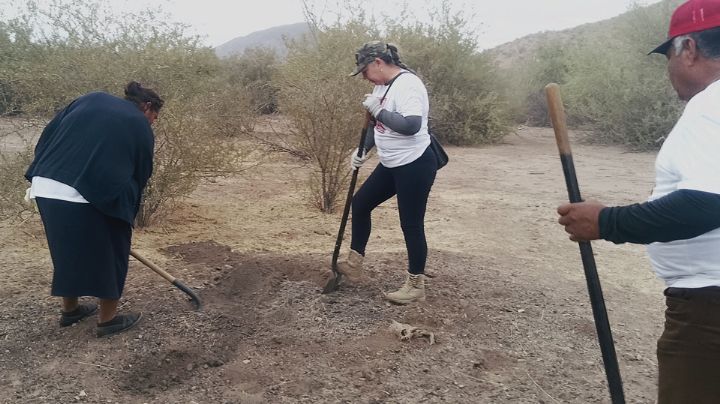 Guerreras Buscadoras de Cajeme hallan cráneo humano y restos óseos en predio cercano a Vicam