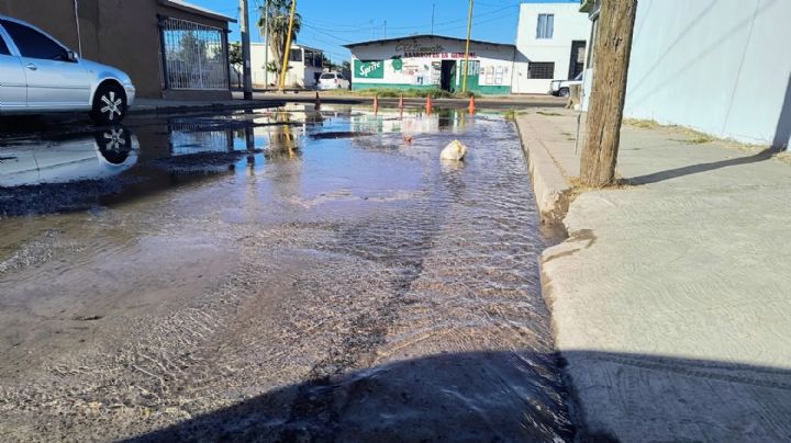 Ciudad Obregón: Vecinos de la colonia Miravalle urgen reparación de fuga de agua