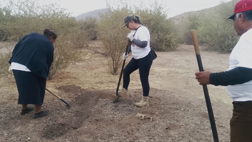 Guerreras Buscadoras de Cajeme hallan cráneo humano y restos óseos en predio cercano a Vicam