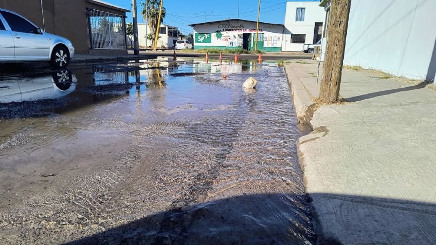 Ciudad Obregón: Vecinos de la colonia Miravalle urgen reparación de fuga de agua