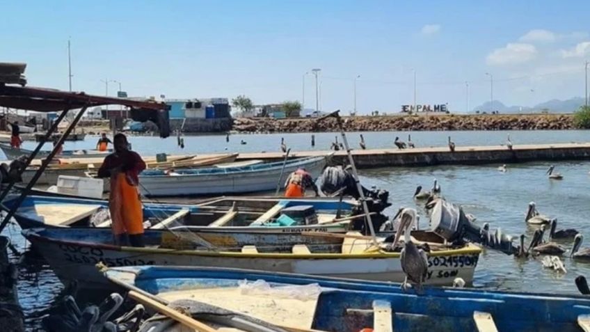 Pesca en Guaymas y Empalme tuvo un 2024 con los peores resultados en 30 años