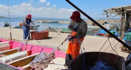 Pescadores colgarán las redes para ofrecer paseos turísticos en bahía de Guaymas