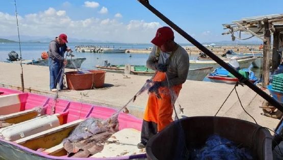 Pescadores colgarán las redes para ofrecer paseos turísticos en bahía de Guaymas