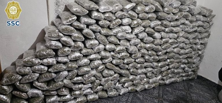 Cateo en Cuajiimalpa