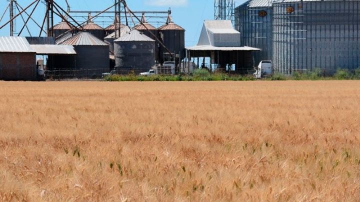 Aranceles impuestos por Donald Trump impactarán en el campo sonorense