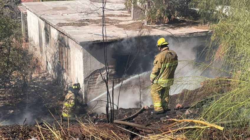 Incendios forestales provocados afectan a vecinos de la colonia Yucatán, en Guaymas