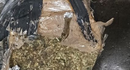 Incautan más de 500 kilos de marihuana en exitoso operativo en el puerto de Veracruz