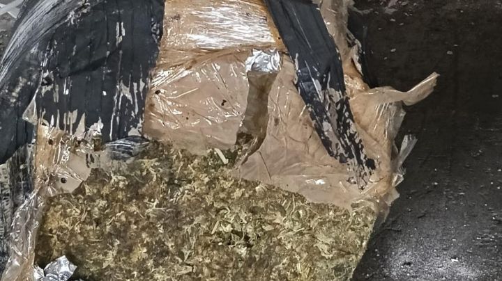 Incautan más de 500 kilos de marihuana en exitoso operativo en el puerto de Veracruz