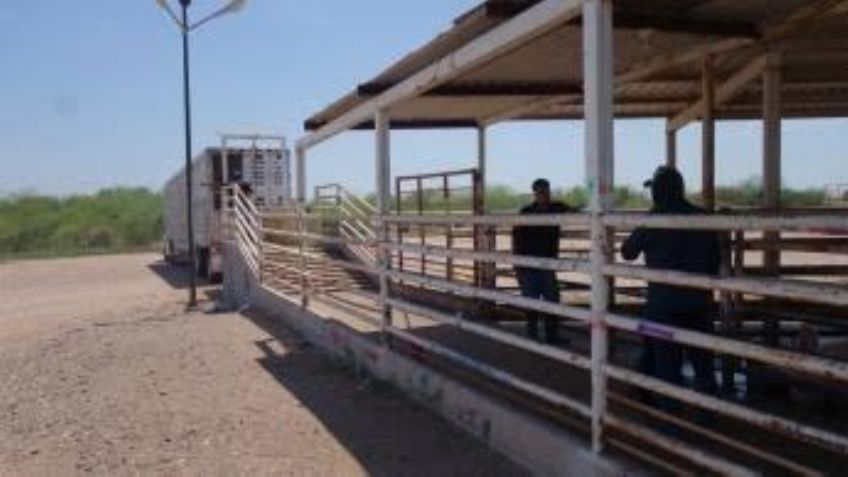 Gobierno de Cajeme trabaja para mejorar paramunicipales; el Rastro sigue en problemas