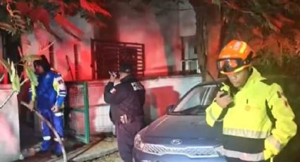 Tragedia en Nuevo León: Un incendio cobra la vida de María y sus tres perritos en García