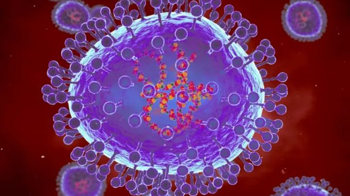 Confirman primeros casos de Virus Metapneumovirus Humano (hMPV) en México ¿Alerta sanitaria?