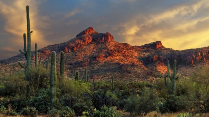 Clima en Hermosillo hoy jueves 9 de enero: Conagua advierte cielo nublado y bajas temperaturas