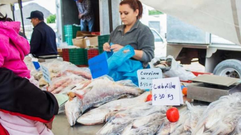 Ventas de productos marinos baja un 80% en Guaymas; piden apoyo de autoridades