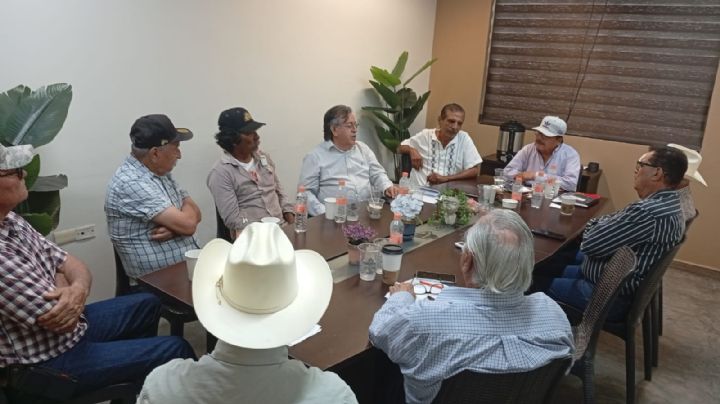 Campesinos en Navojoa piden apoyo para rescatar la producción del maíz en Sonora