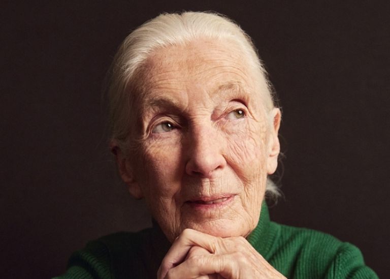 Una de las científicas más influyentes del siglo XX