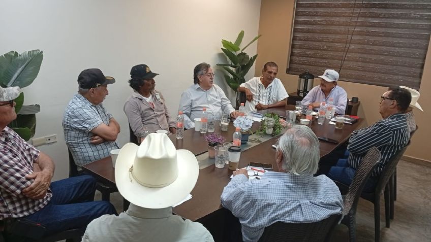 Campesinos en Navojoa piden apoyo para rescatar la producción del maíz en Sonora