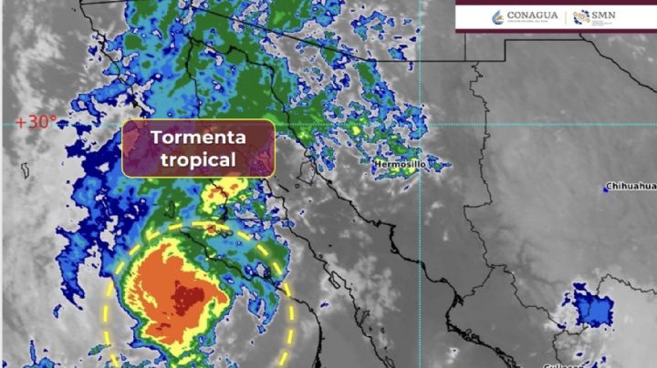 Ciclón 'Priscilla' avanza hacia Baja California Sur: Alertan LLUVIAS intensas HOY 10 de octubre