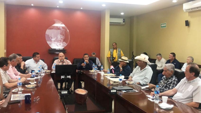 Productores del Yaqui y Mayo se manifestarán por crisis en el campo sonorense