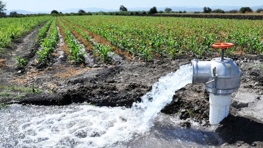 Distrito de Riego del Río Yaqui analiza posible reducción del 50 por ciento en el costo del agua
