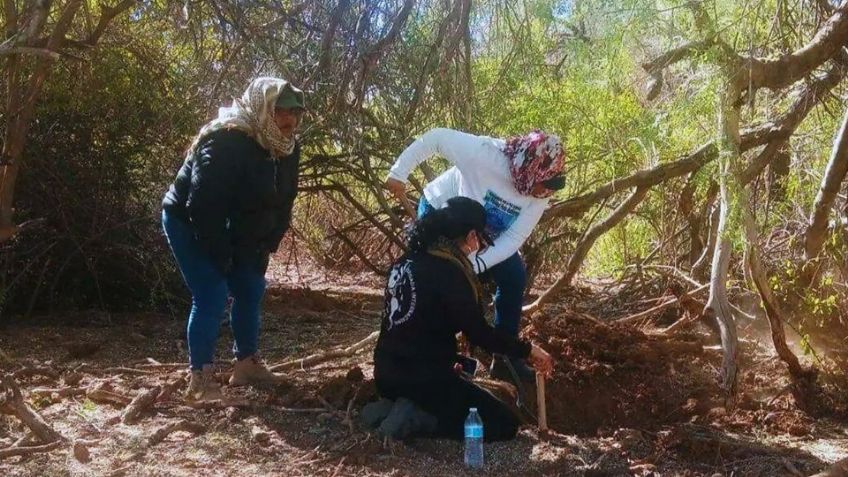 Identifican a los 60 cuerpos hallados en fosa de Hermosillo; van cinco personas detenidas