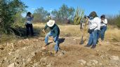 Foto ilustrativa de la nota titulada: Autoridad atribuye a un único grupo criminal el caso de los 60 cuerpos en Hermosillo
