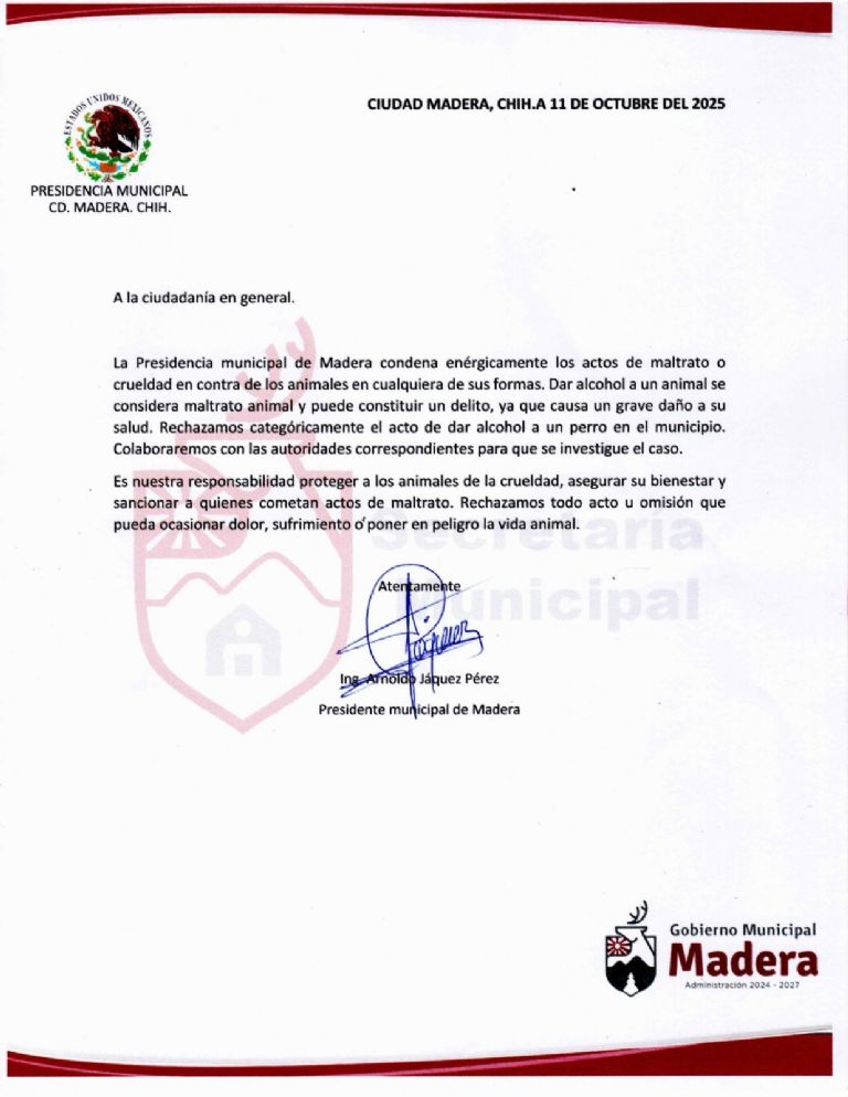  Ayuntamiento de Ciudad Madera