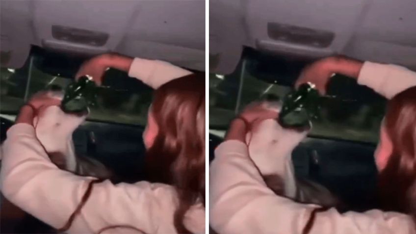 Autoridades de Chihuahua investigan a joven que dio alcohol a un perro (VIDEO)