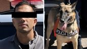Foto ilustrativa de la nota titulada: Unidad canina ayuda a detener a presunto 'tirador' en Hermosillo; le detectó narcóticos