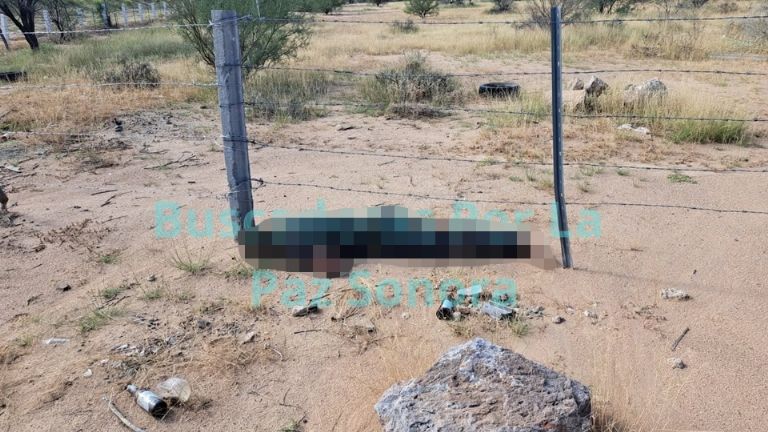 La víctima presentaba varios impactos de bala en la cabeza