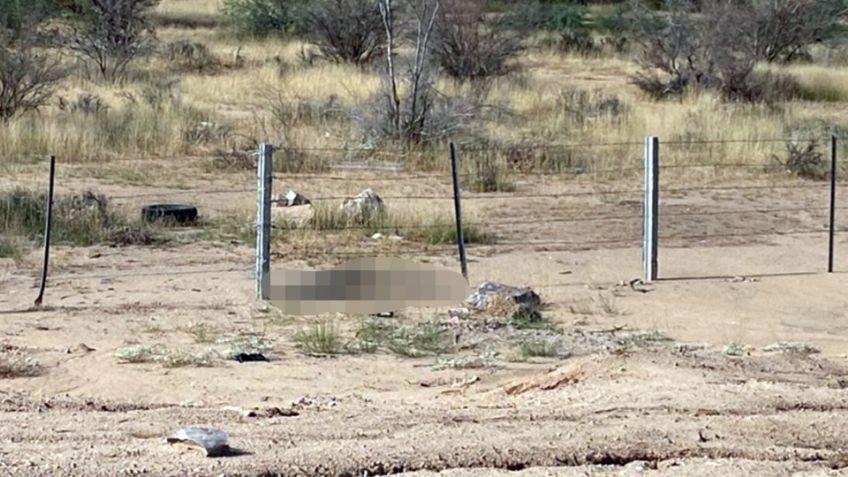 Le dispararon en la cabeza: Encuentran a hombre muerto en carretera Hermosillo - Guaymas