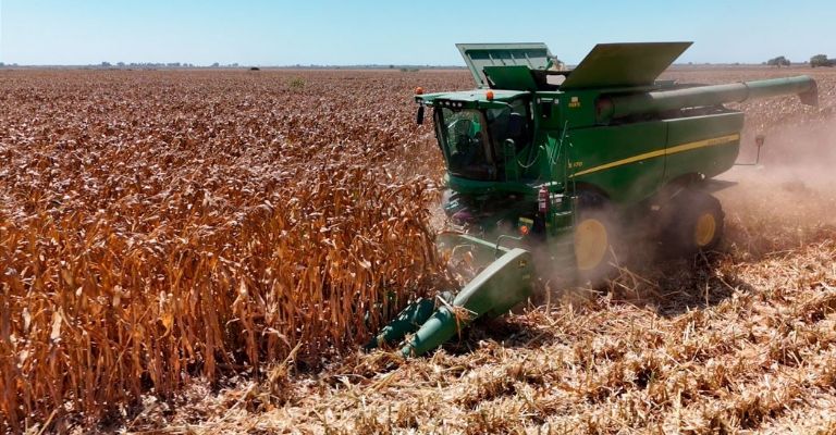 Amplían apoyo agrícola en Sonora ante impacto de sequ