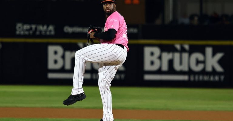 Toussaint tuvo una gran labor monticular