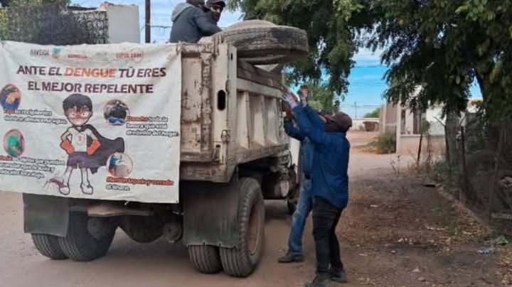 Aumento del dengue enciende las alarmas en municipios de la Región del Mayo